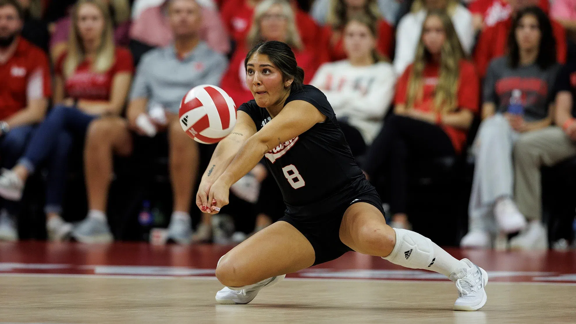 Rodriguez Named Finalist for AVCA National Player of the Year KNLV AM