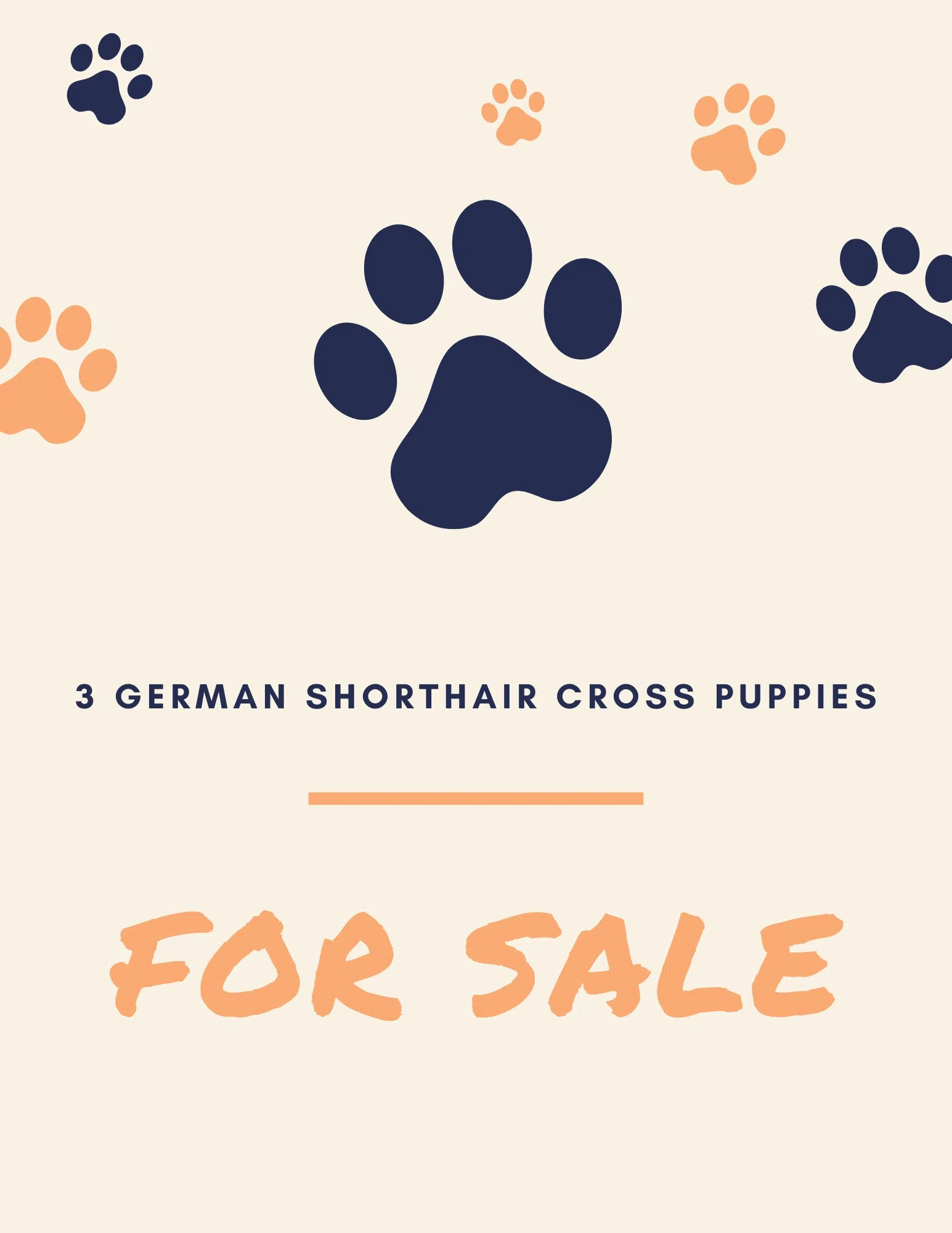 For sale: 3 German Shorthair