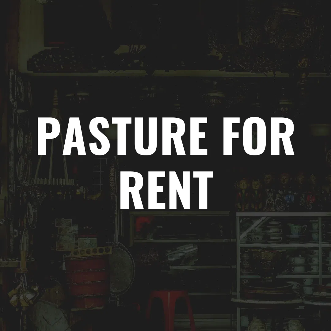 Pasture For Rent