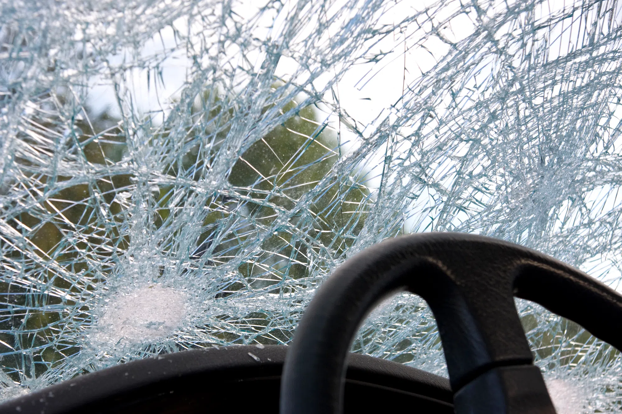 Palmer Man Killed in Rollover Crash; Investigation Underway