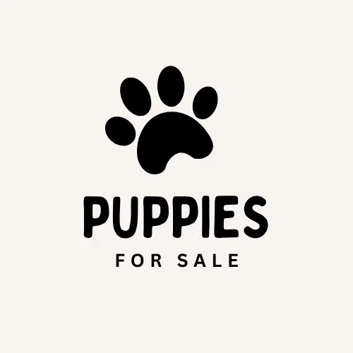 For Sale: Pure Bred Lab Puppies