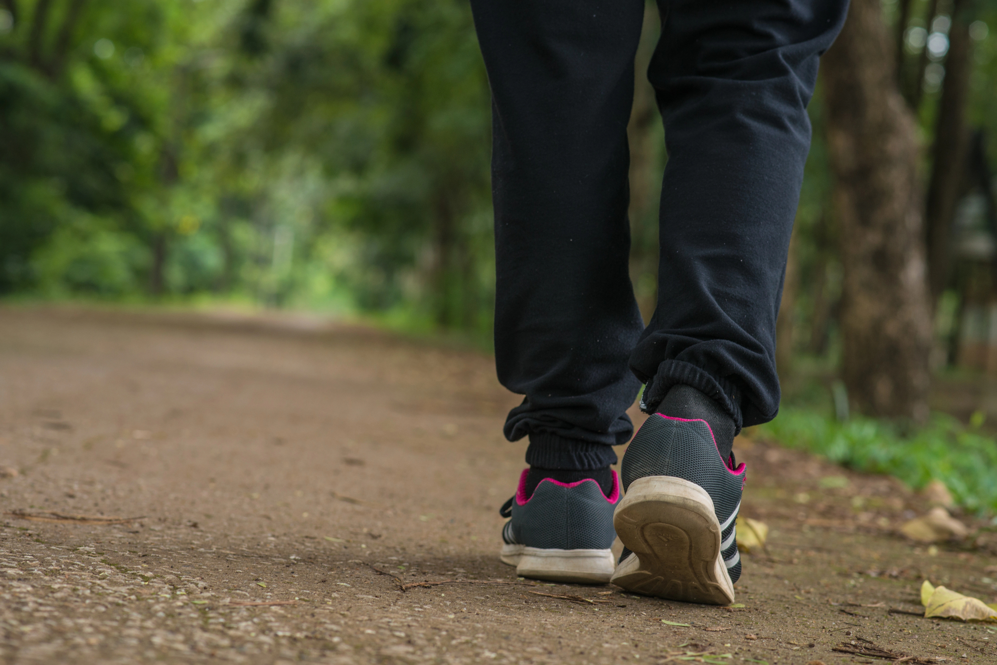 Grand Island to Host Alzheimer's Association Walk to End Alzheimer's