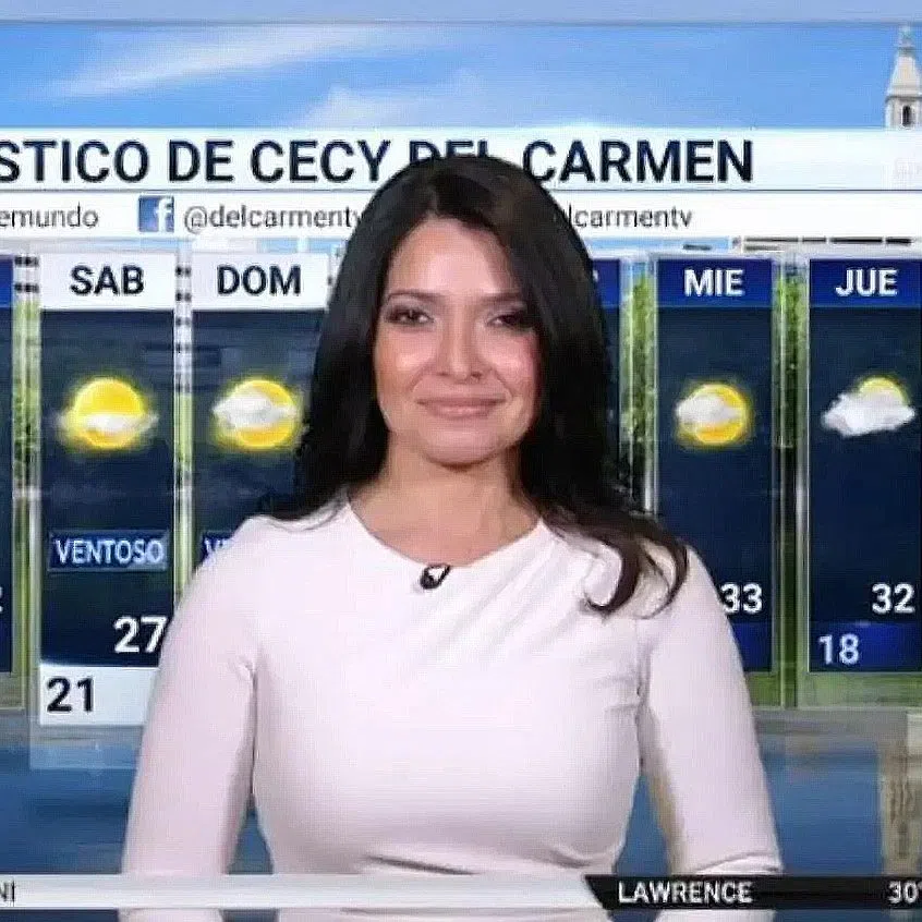 Cecy Del Carmen