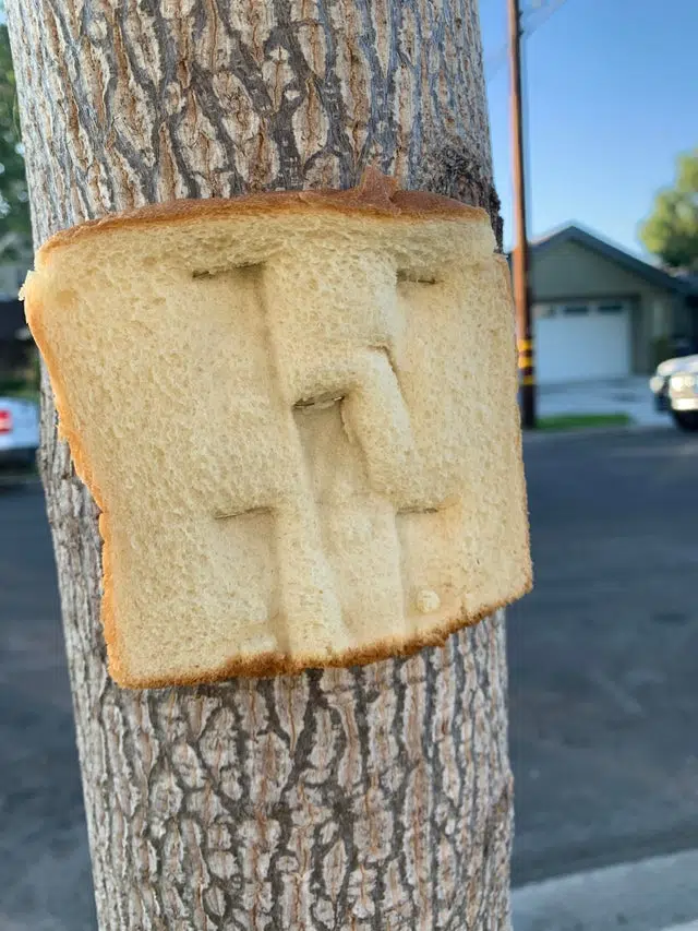 People Are Stapling Bread to Trees in a New Dumb Viral Trend: