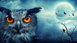 These Four Changes Can Help a "Night Owl" Become a "Morning Person"