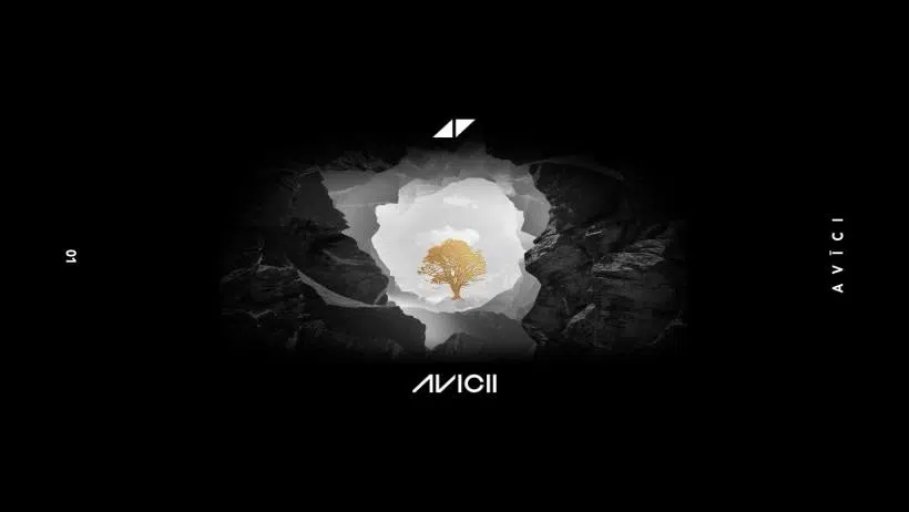 Avicii's Team Announces New Album