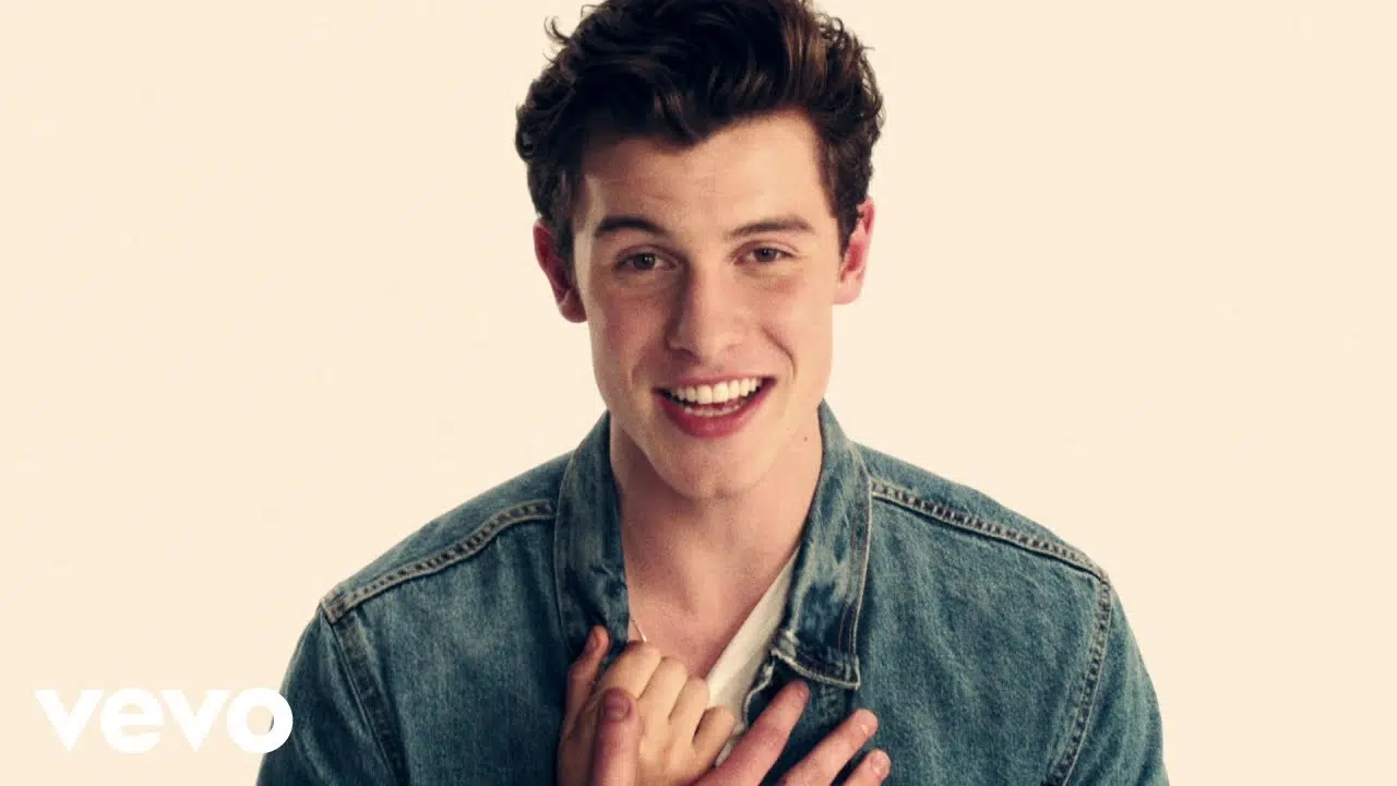 Shawn Mendes Says Rumors About His Sexuality Are 'Hurtful'