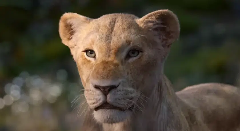 Watch: New ‘Lion King’ Trailer Ft. Beyoncé