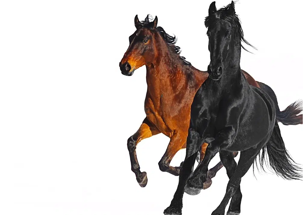 SO FAR: 'Old Town Road' Leads LyricFind's Song of the Summer Ranking