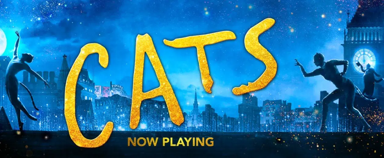 Cats BAD Review