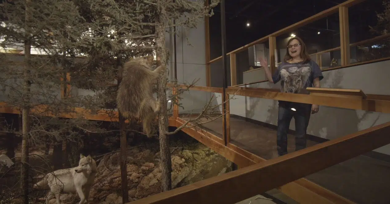 Take A Virtual Tour With The Manitoba Museum