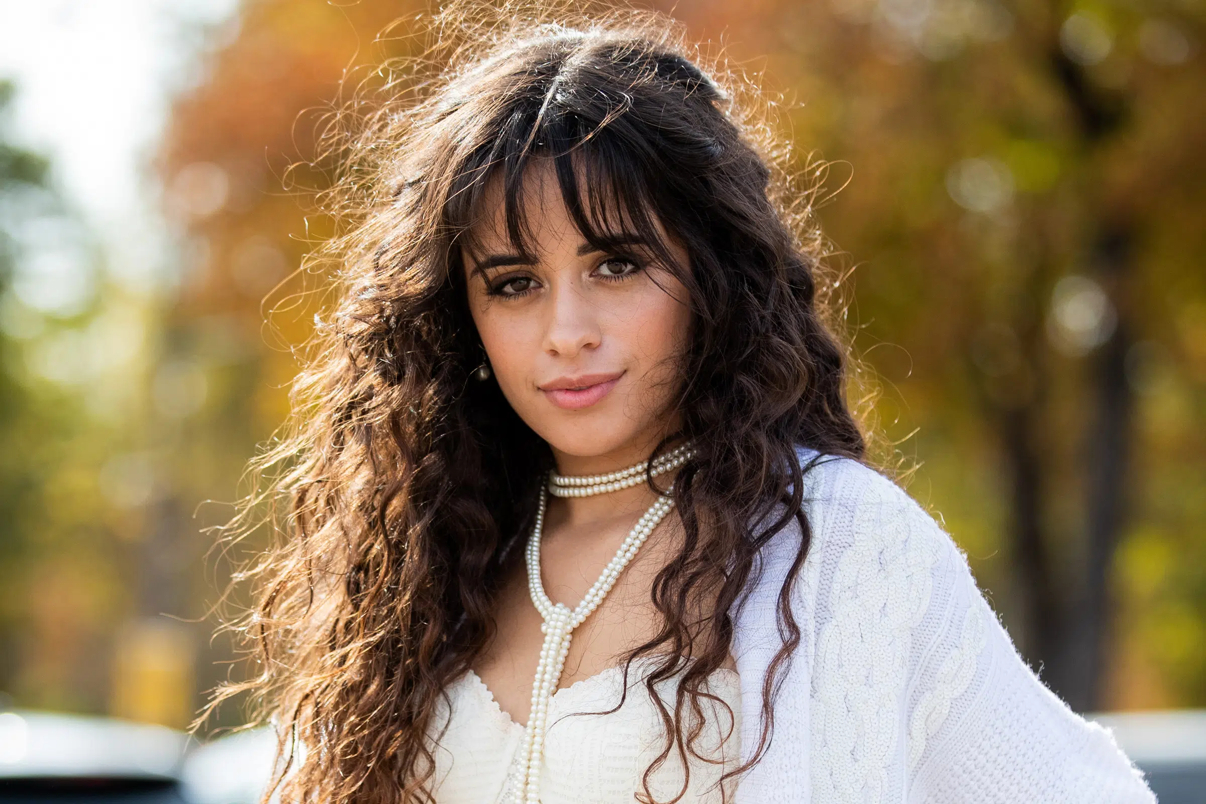 Camila Cabello Kicks Off Her 'Priceless Experience at Home'