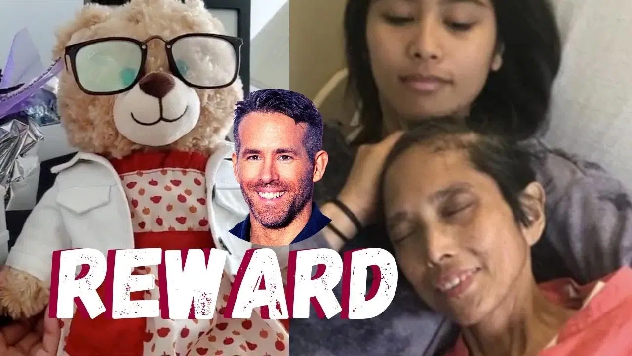 Ryan Reynolds Pledges $5K to Reunite Woman With Stolen Teddy Bear
