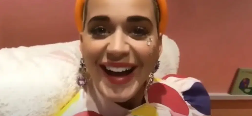 Katy Perry Shows Off Her Daughter's Nursery