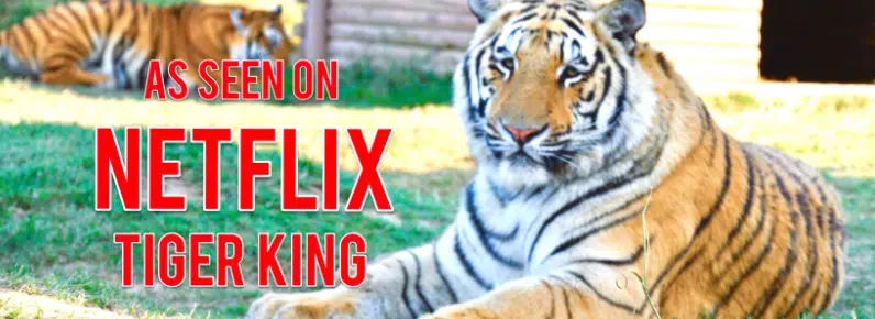 ‘Tiger King’ Zoo Closes Permanently