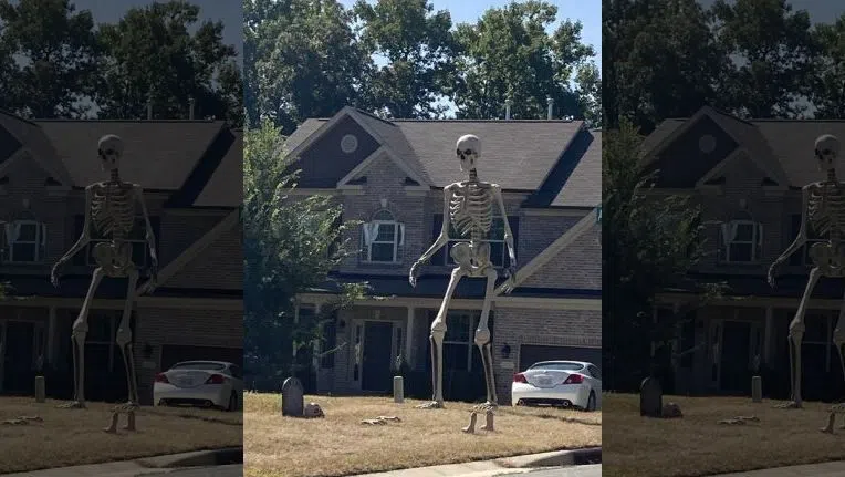 The Best Halloween Decoration... of 2020