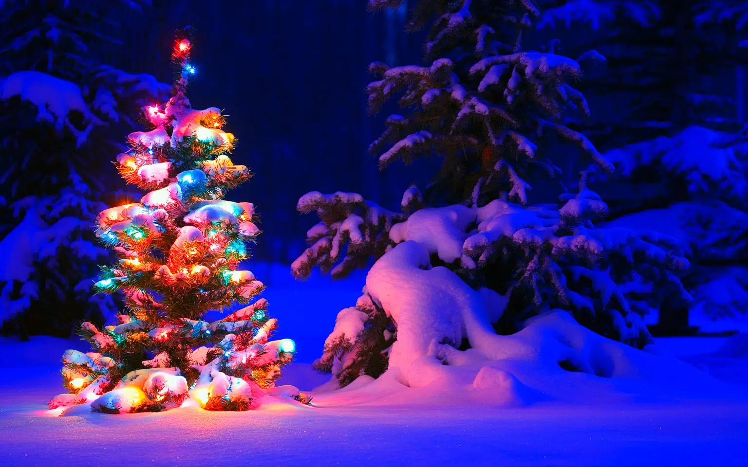 Check Out This Map Of Winnipeg Christmas Lights!