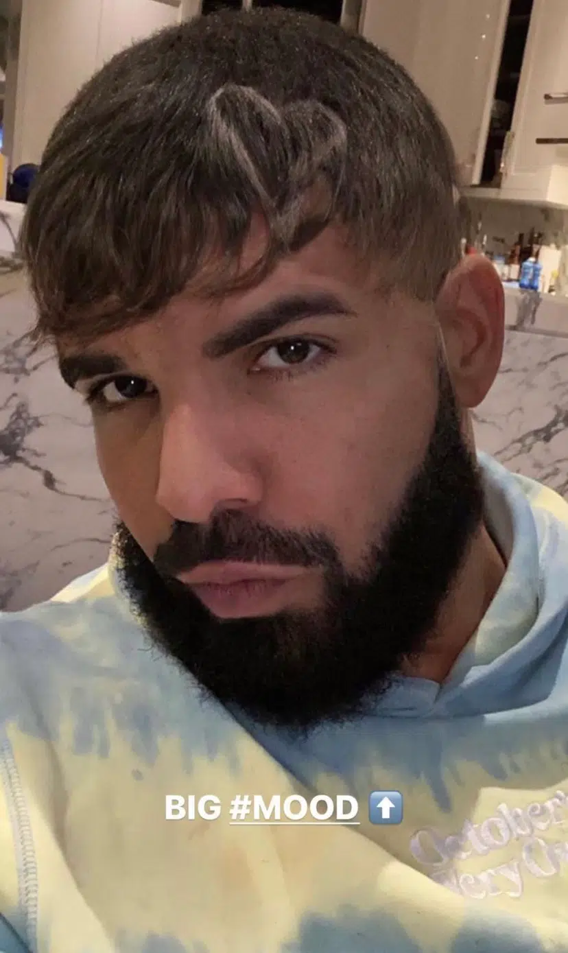 Drake's New 2021 Haircut Did Not Go Over Well