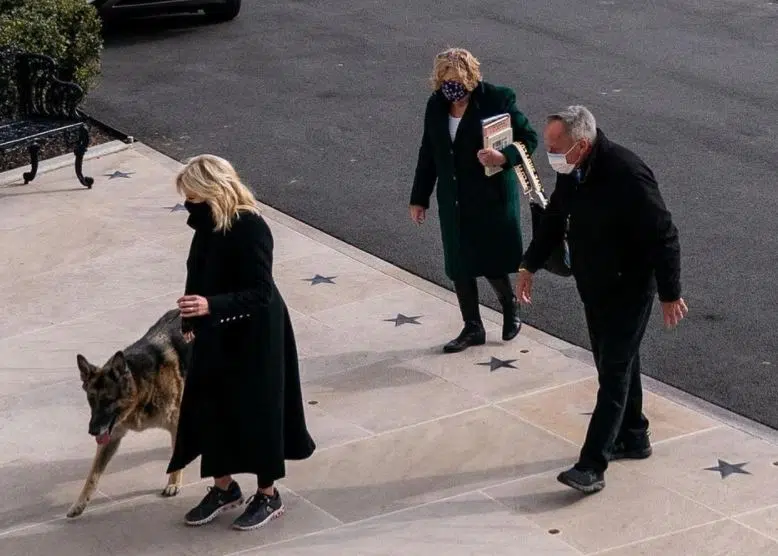Biden's Dog Bites A Second Person At The White House