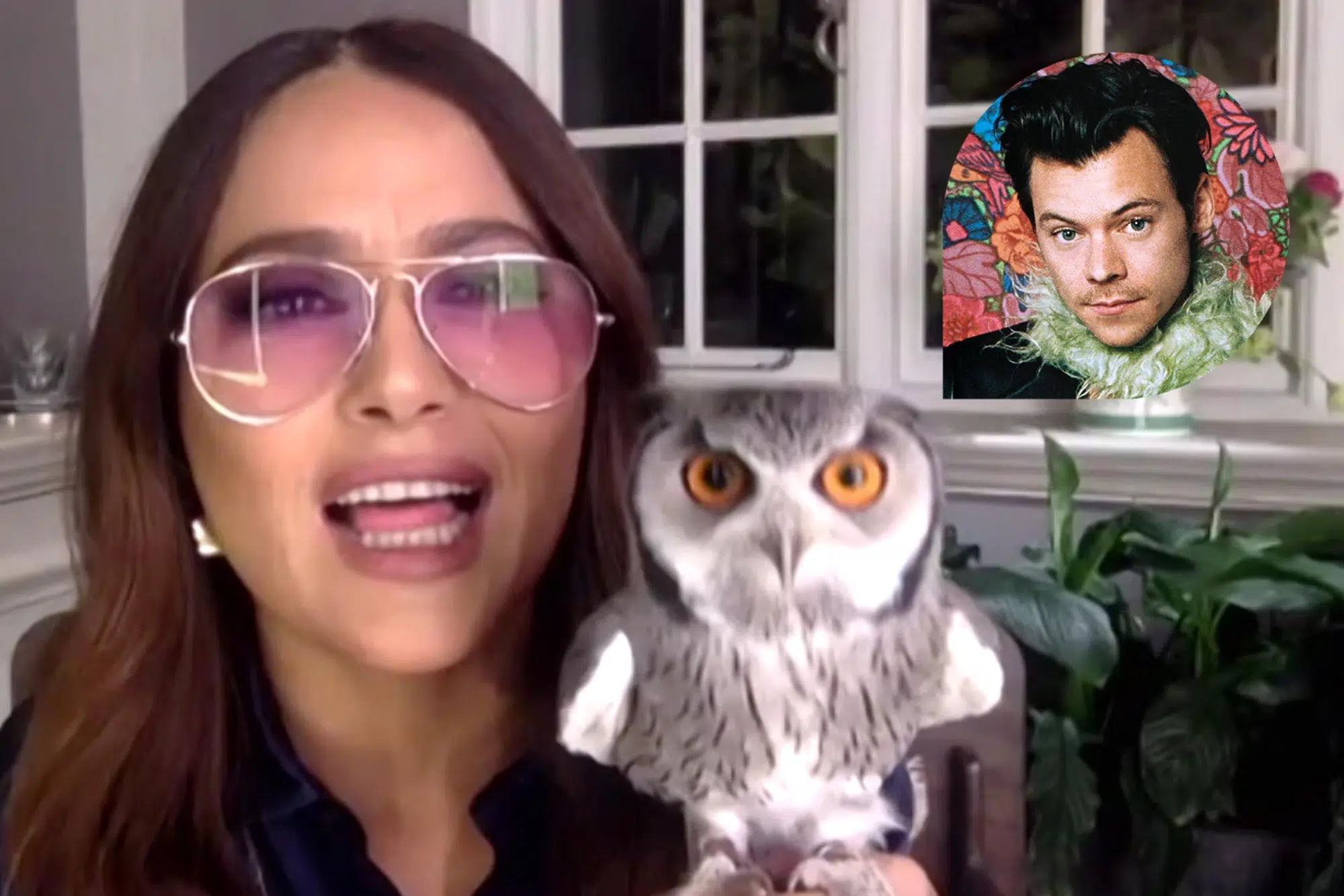 Salma Hayek Says Her Pet Owl Coughed a Rat Hairball on Harry Styles