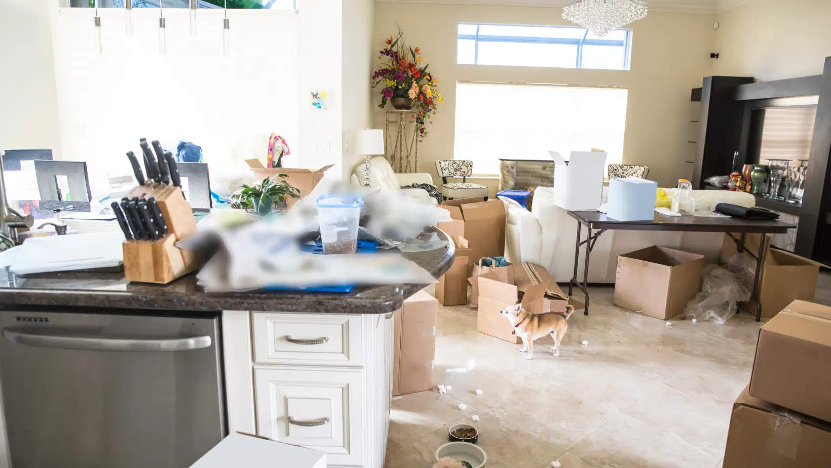 These Are The Top Areas Your Guests Will Judge You For If They're Dirty...