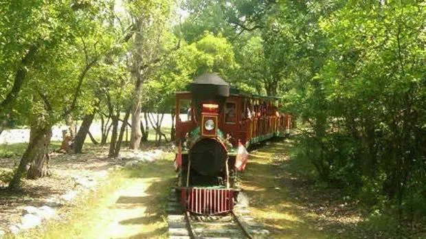 You Can Purchase The Steam Train At Assiniboine Park