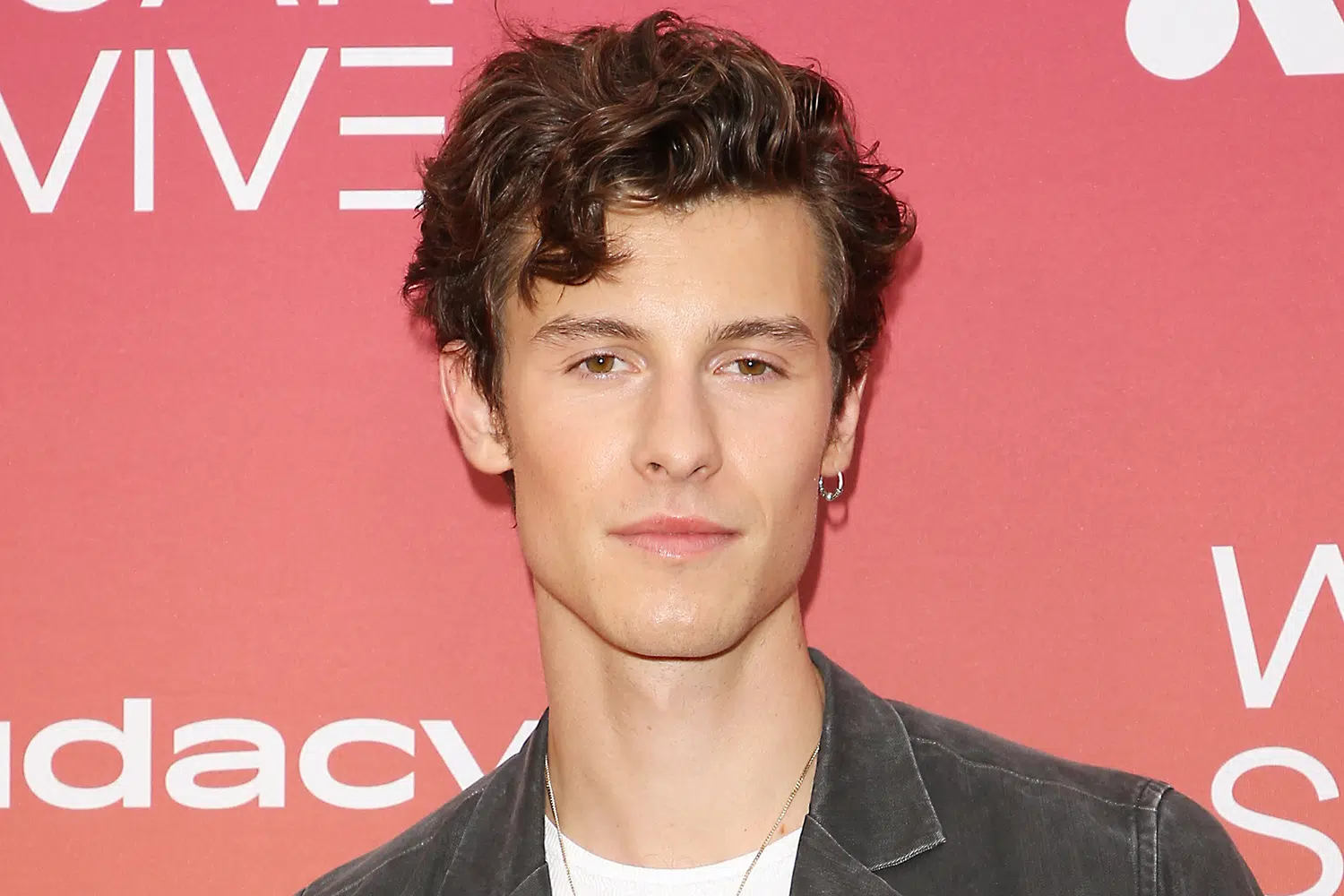Shawn Mendes Cancels All Tour Dates to Focus on Mental Health
