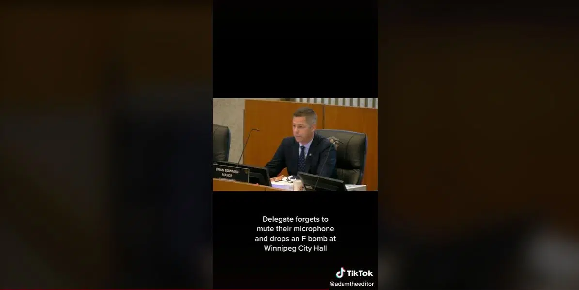 [WATCH] Winnipeg Delegate Makes TikTok After Dropping F-Bomb At City Hall