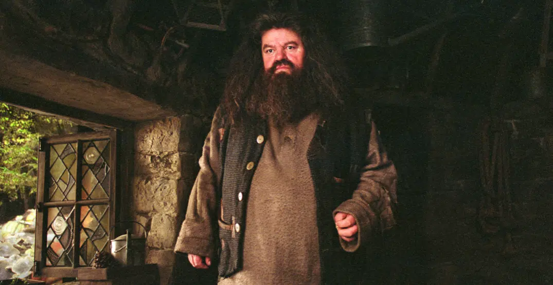 "Harry Potter" Actor Robbie Coltrane Passes Away at 72