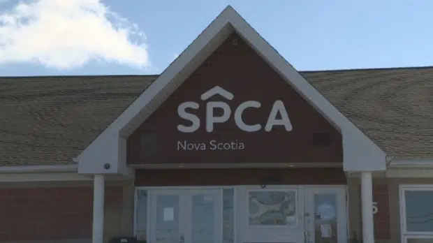 Dartmouth SPCA shelter robbed