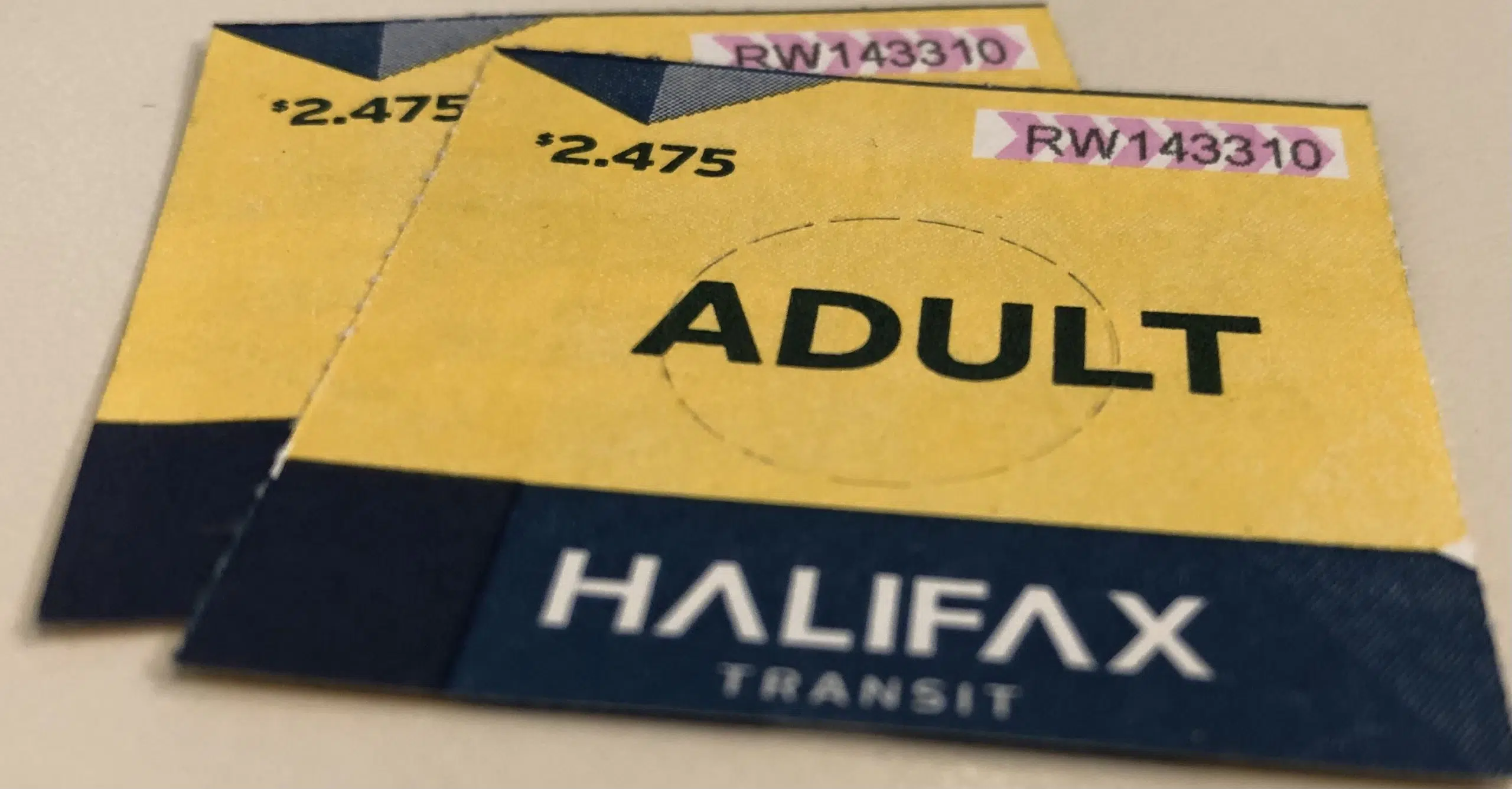 Free Halifax bus pass pilot now permanent