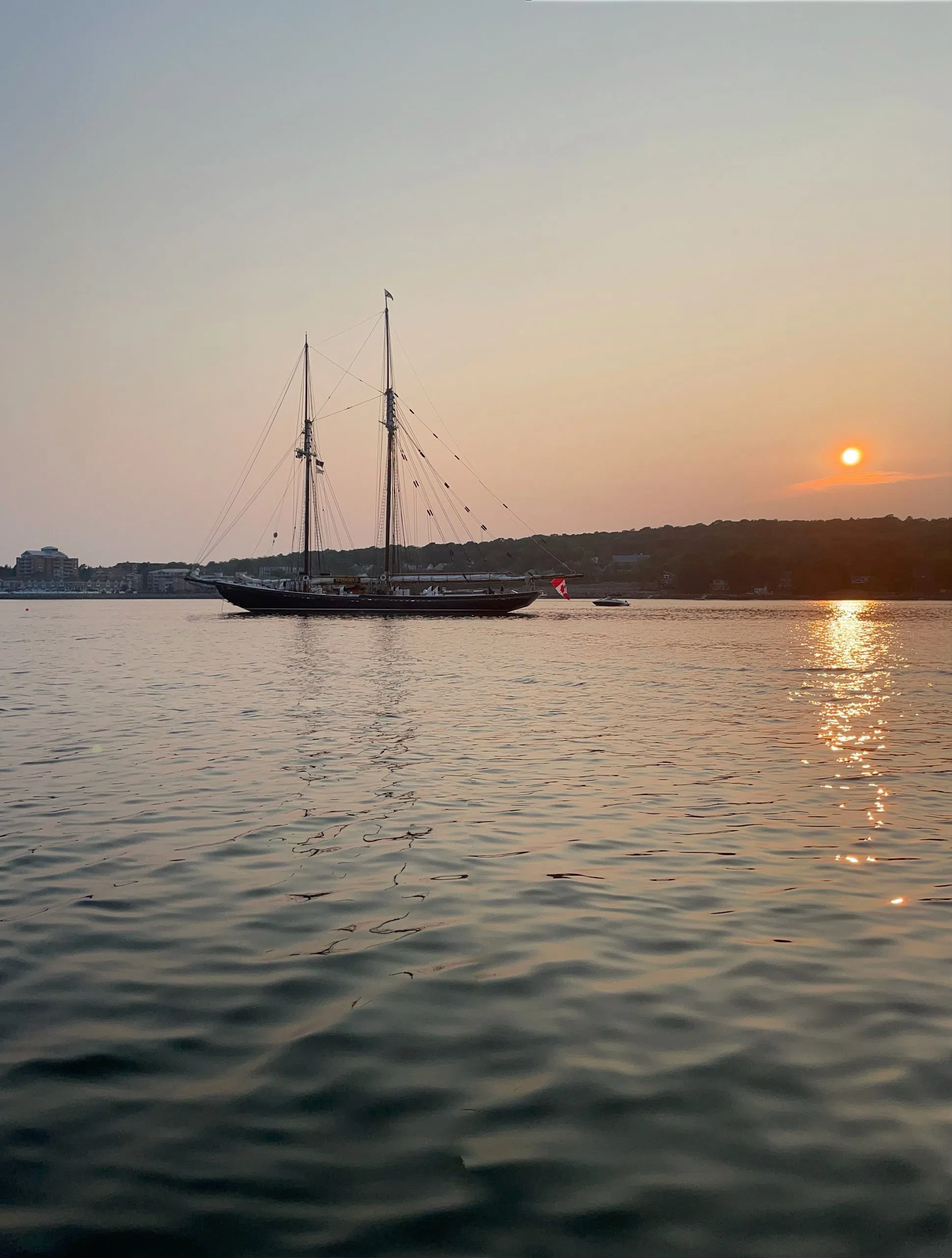 Bluenose II At Peggy's Cove This Afternoon
