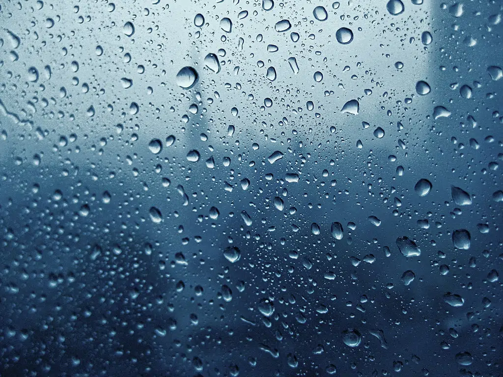 Halifax to get soaked by Hurricane Ida