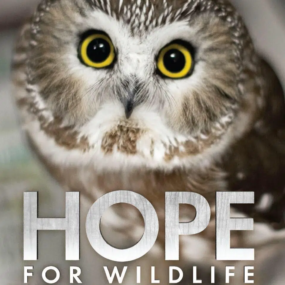 Hope For WIldlife's Updated Amazon List
