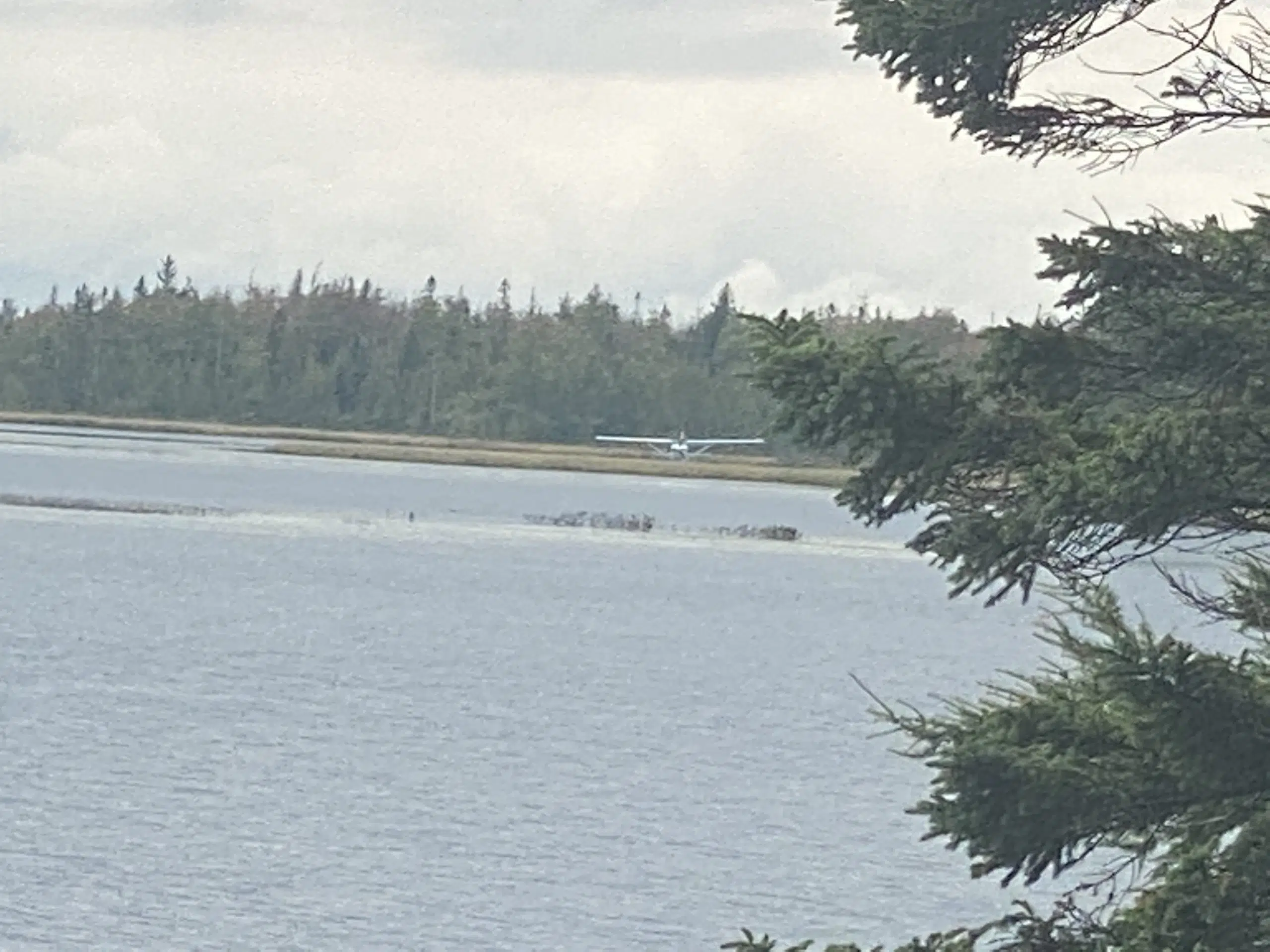 Plane lands in lake near Halifax Airport