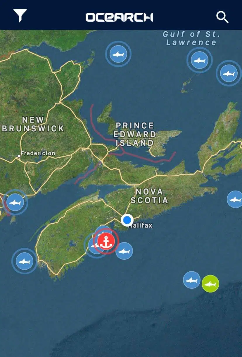 OCEARCH Are Back In Nova Scotia