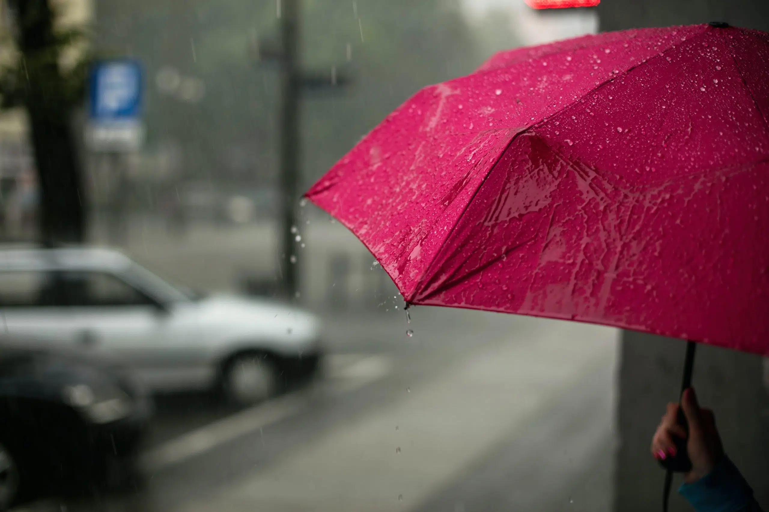 Many without power after messy storm blows through N.S.