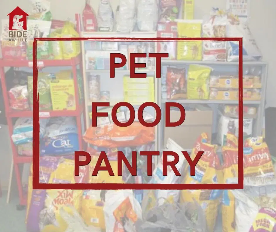 Donations Needed For Bide Awhile's Pet Food Pantry