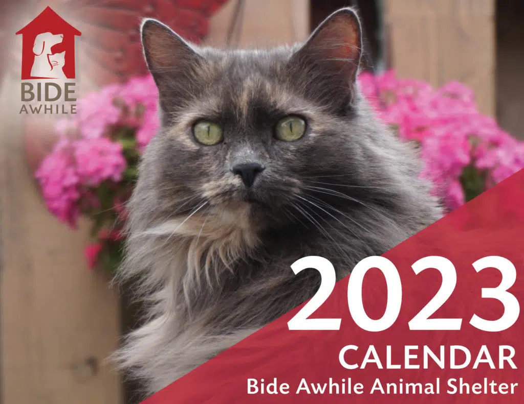 2023 Bide Awhile Pet Calendars Available NOW