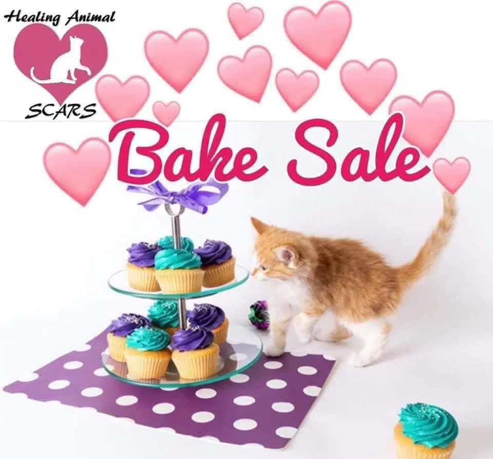 Virtual Bake Sale For Healing Animal SCARS