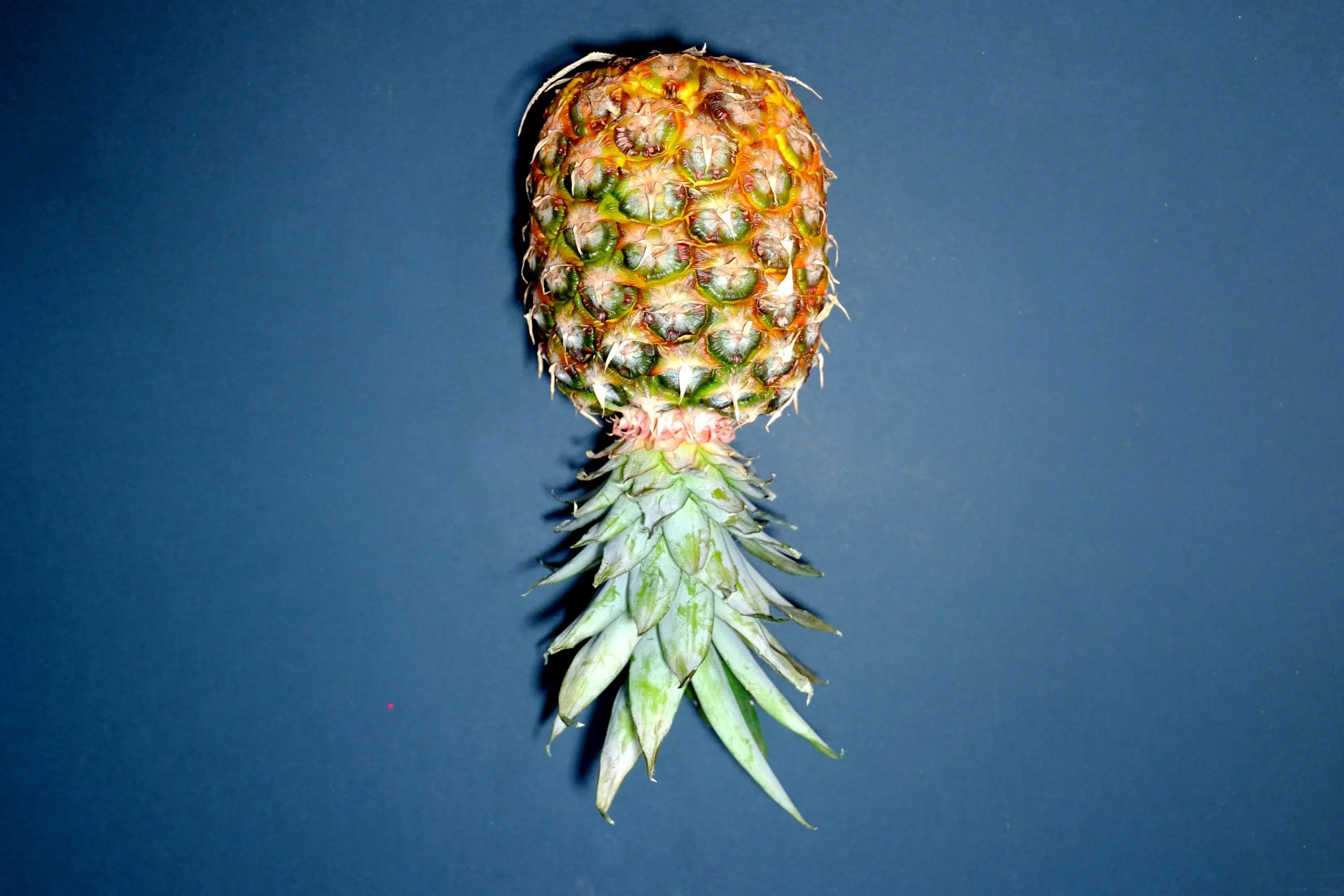 Yup, This is What a Pineapple Means