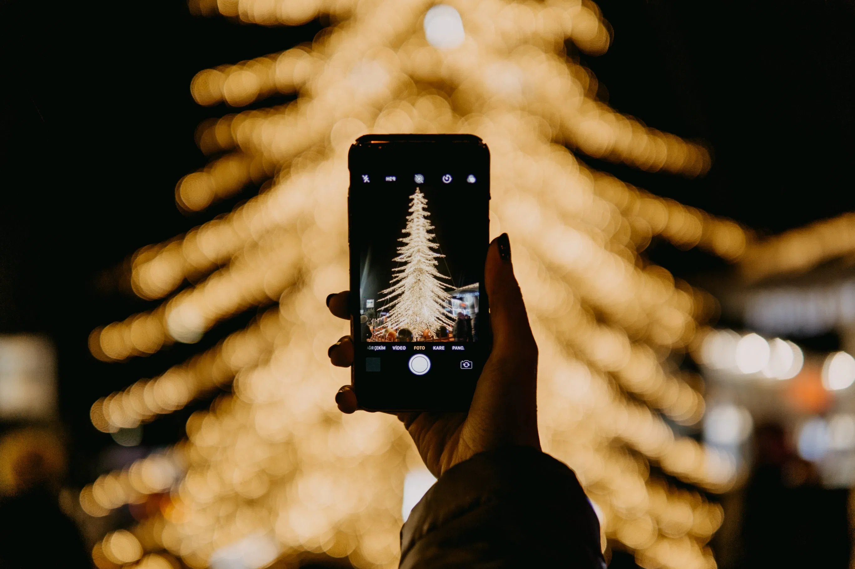 A new look for holiday festivities in Halifax