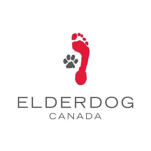 Elderdog Could Use Some Volunteers