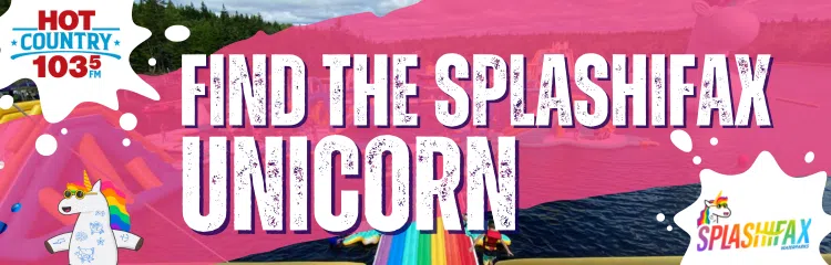 Splashifax Unicorn Hunt