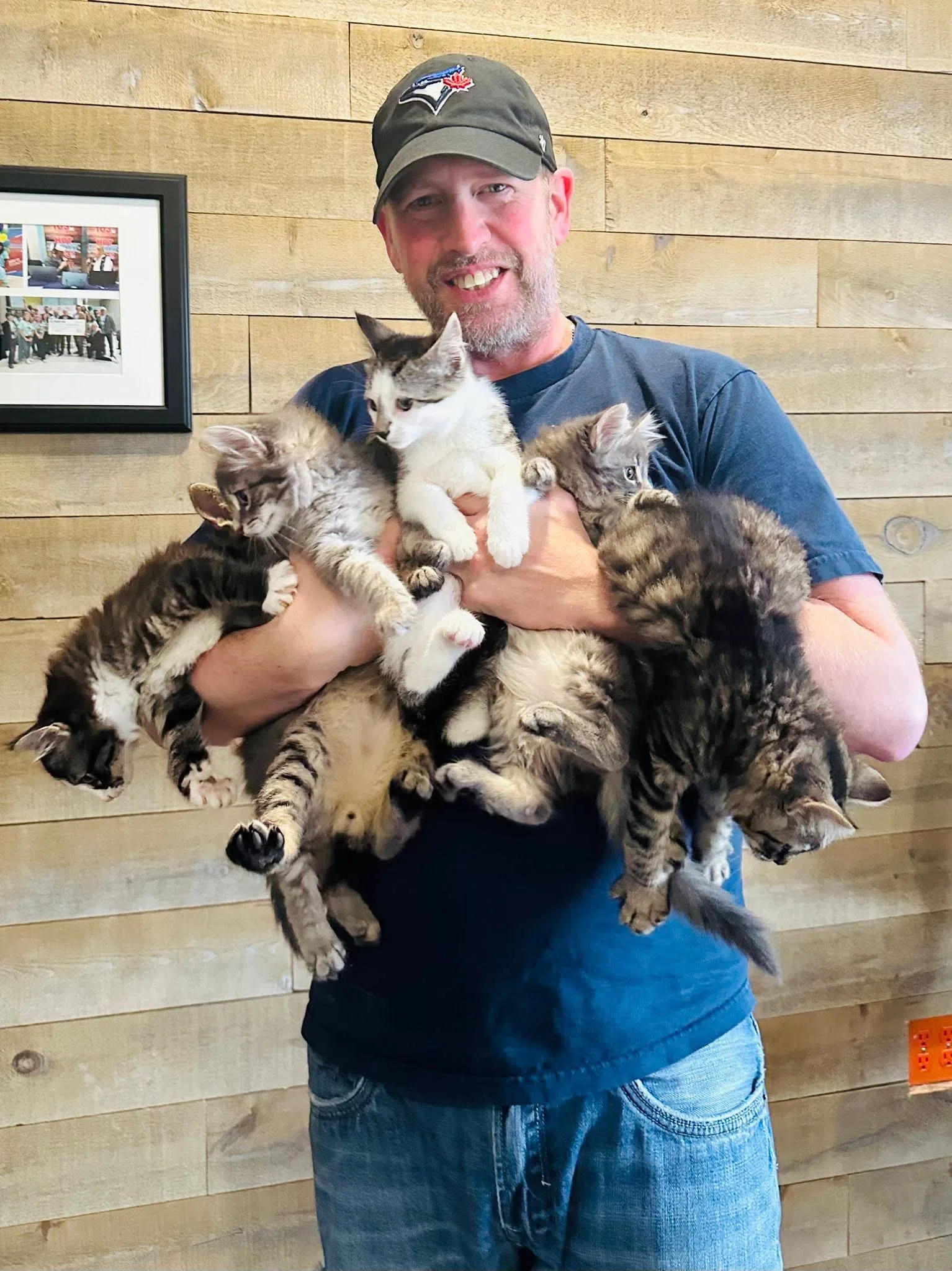 Furbaby Friday With Bide Awhile TODAY IT'S SIX KITTENS!!!