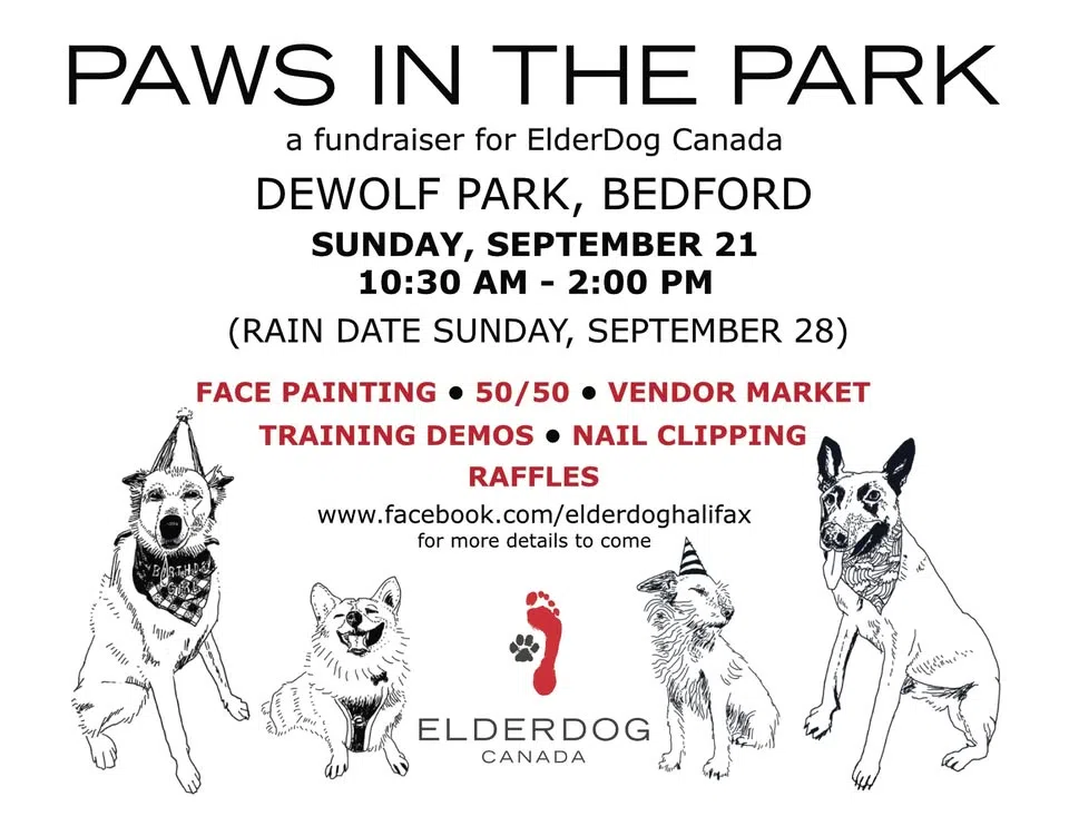 Paws In The Park - SUNDAY - In Support Of Elderdog