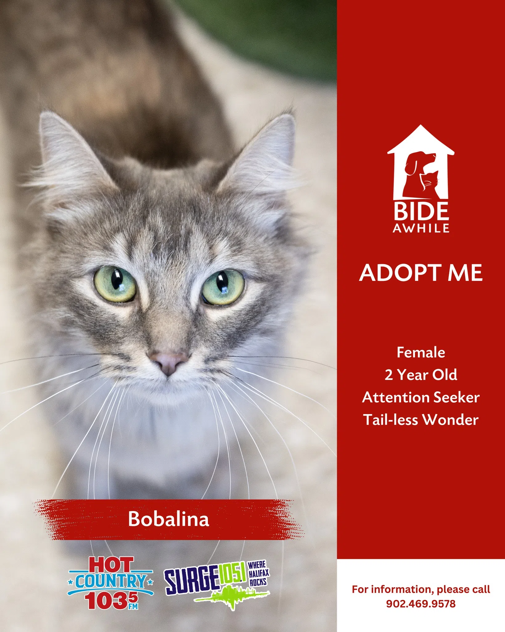 Fursday with Bide Awhile