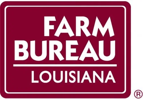Louisiana Farm Bureau auto insurance customers may see a decrease in premiums during policy renewals