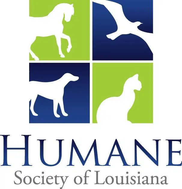 Humane Society of Louisiana: Lack of animal shelters creates uptick in pet overpopulation statewide