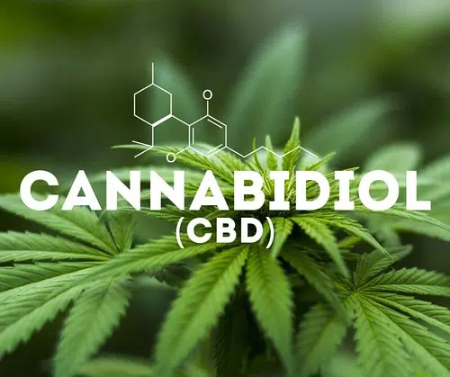 New CBD, THC laws to go into effect Jan. 1